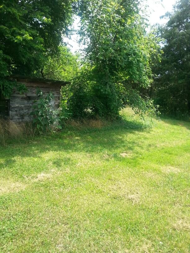 121 Green Park Road Philadelphia, TN 37846 - Photo 24 of 25 20150605_150721_resized