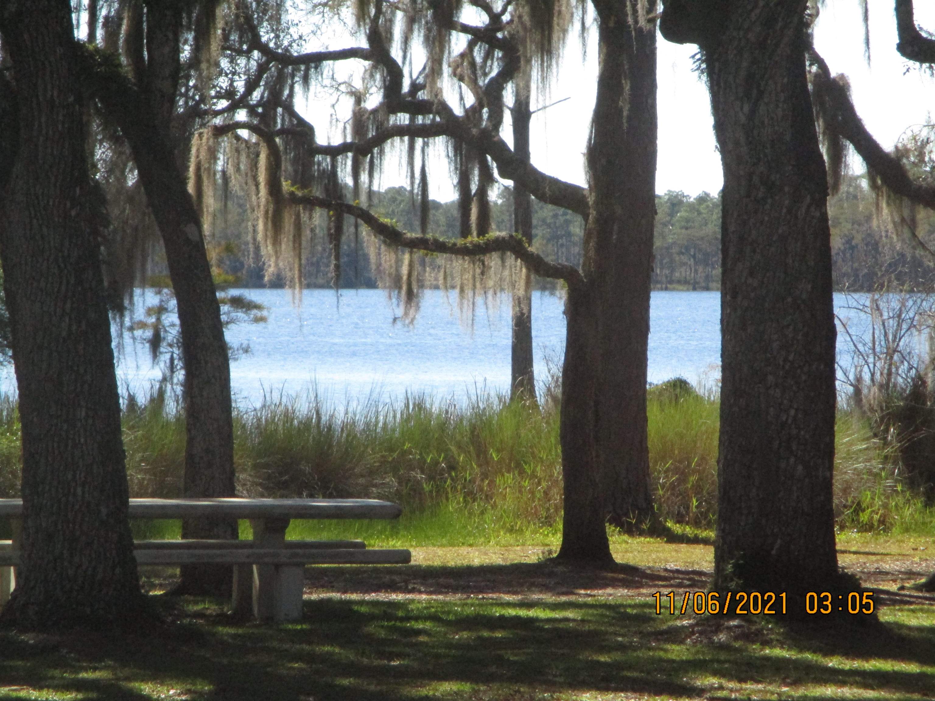 Xx Otter Lake Road Panacea, FL 32346 - Photo 5 of 8 Gallery Image 5