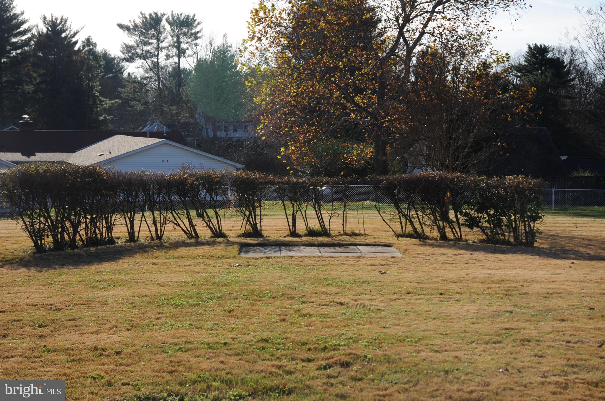 16632 Alden Avenue Gaithersburg, MD 20877 - Photo 5 of 57 Grill Area in backyard