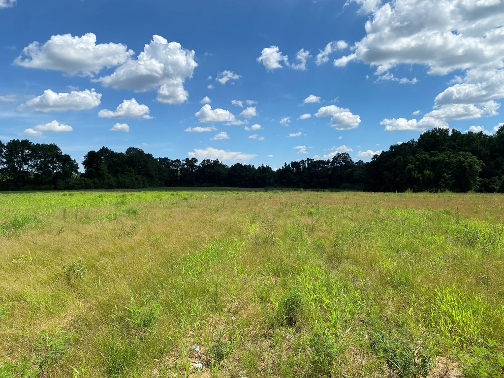 16-ac 16-ac National Road Dothan, AL 36301 - Photo 14 of 45