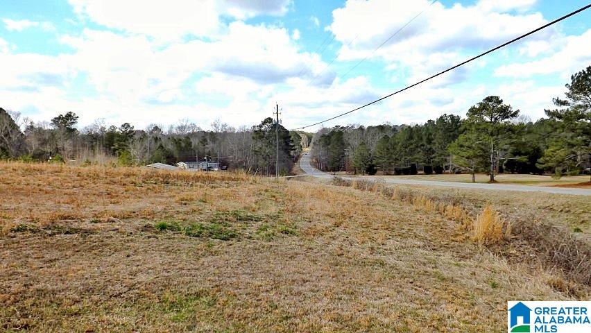 0 Highway 231, Unit 1 5 Oneonta, AL 35121 - Photo 7 of 23