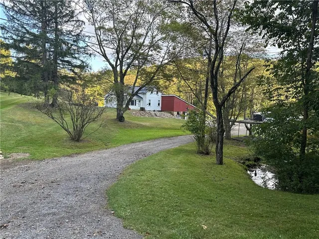 a view of a park with large trees