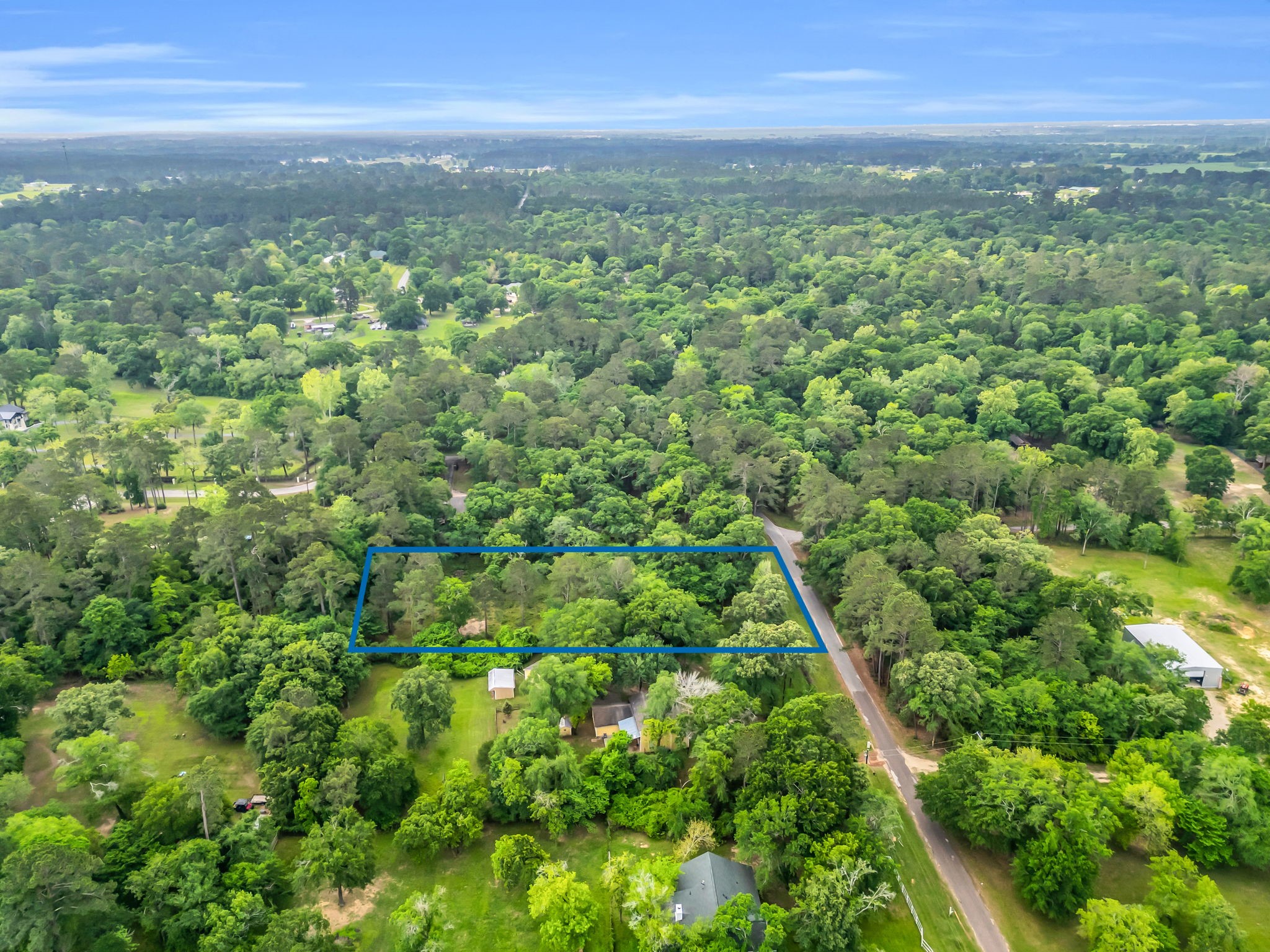 24466 Pine Creek Road Hockley, TX 77447 - Photo 9 of 16