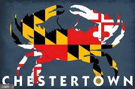 100 Metcalf Road Chestertown, MD 21620 - Photo 2 of 16 an aerial view of a houses