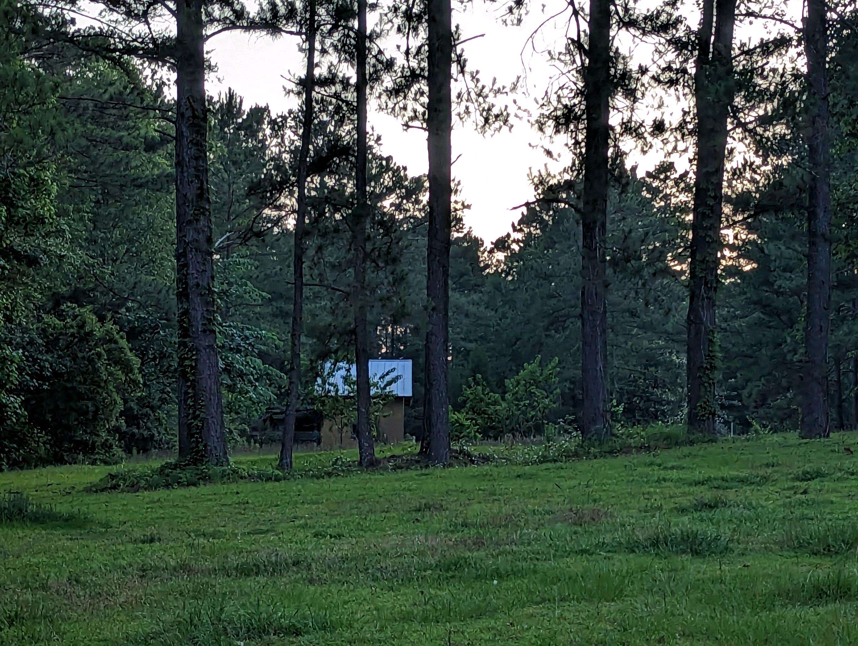 1447 Deer Run Road Havana, FL 32333 - Photo 16 of 24