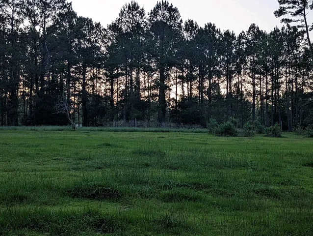 $399,900 | 1447 Deer Run Road, Havana, FL 32333