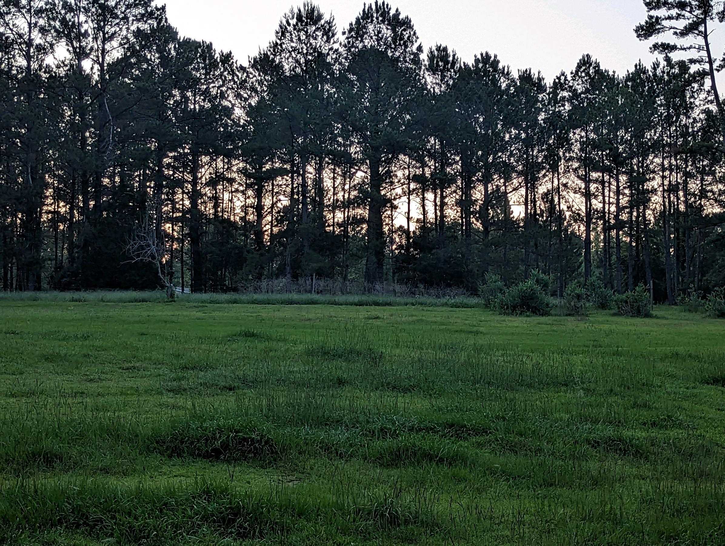 1447 Deer Run Road Havana, FL 32333 - Photo 19 of 24