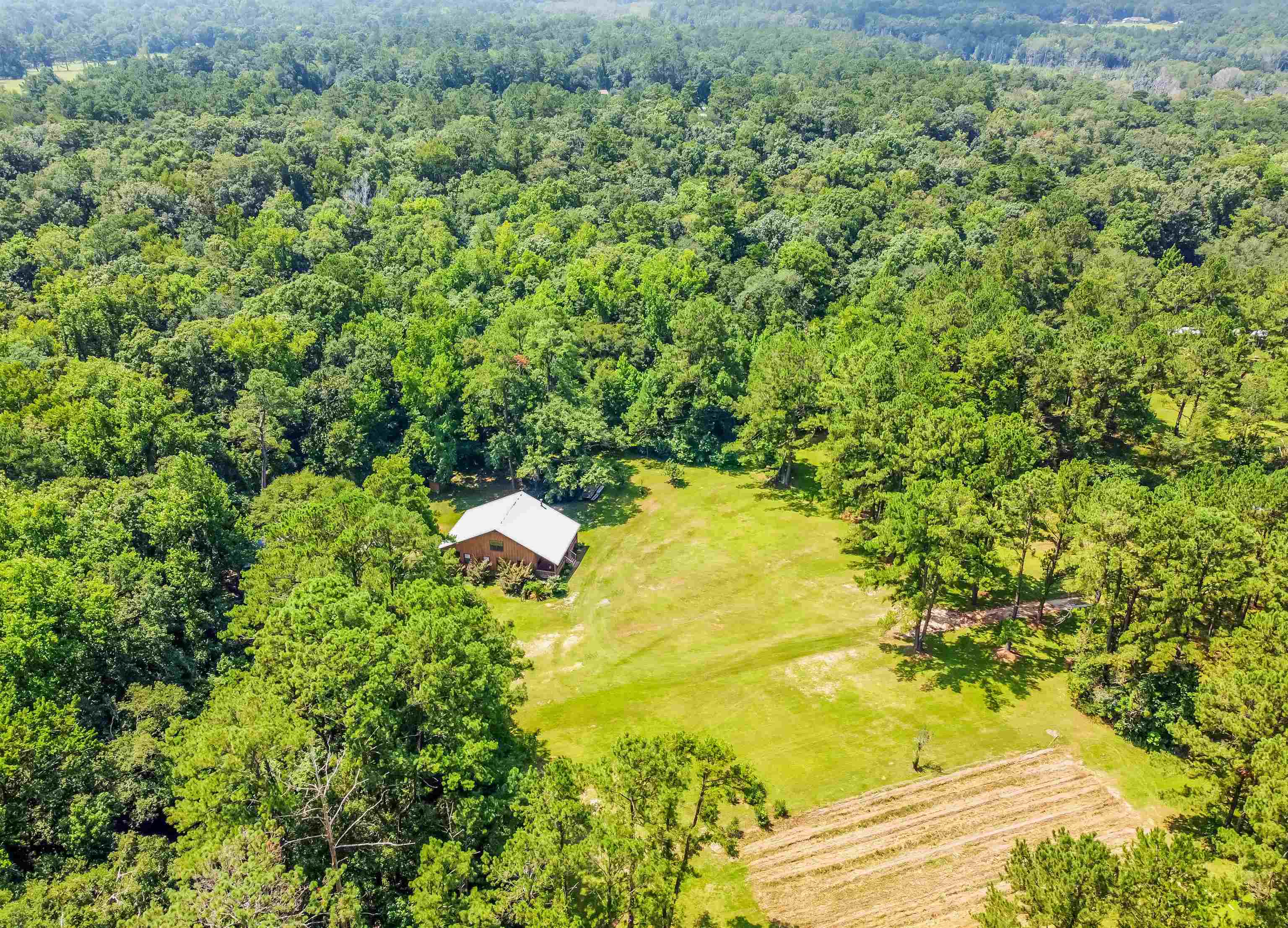 1447 Deer Run Road Havana, FL 32333 - Photo 4 of 24