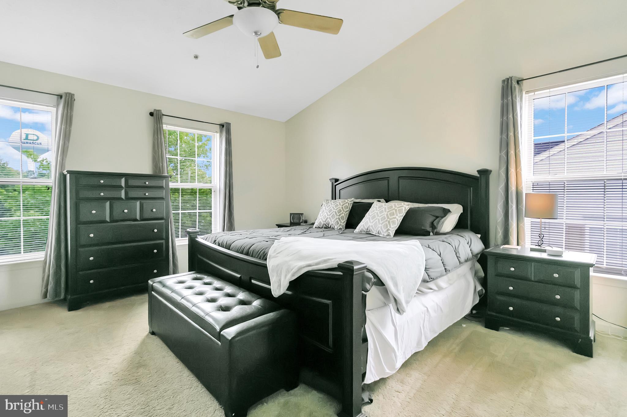 10105 Ridge Manor Terrace, Unit 3000L Damascus, MD 20872 - Photo 21 of 29