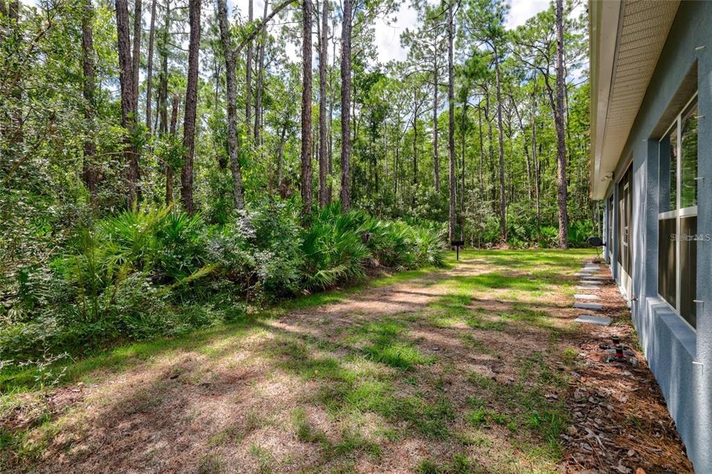 37 Ullman Place, Unit A Palm Coast, FL 32164 - Photo 18 of 20 a view of outdoor space with trees