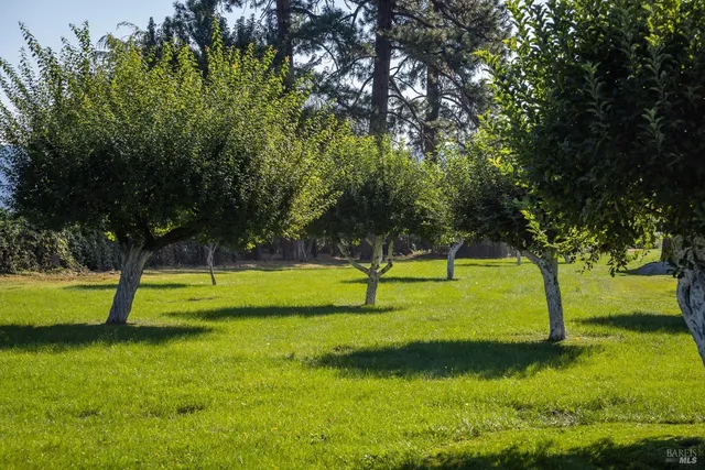 a view of swimming pool with a yard