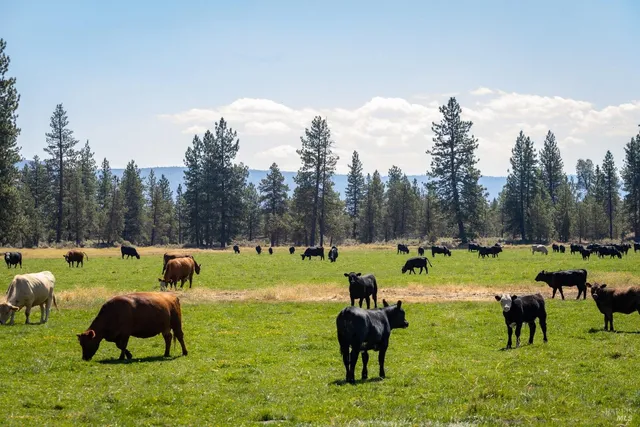 a view of an outdoor space and patio