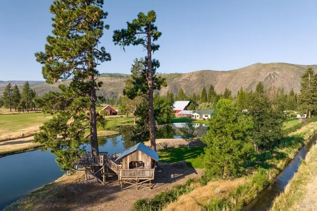 a view of a house with a yard wooden fence and a tree