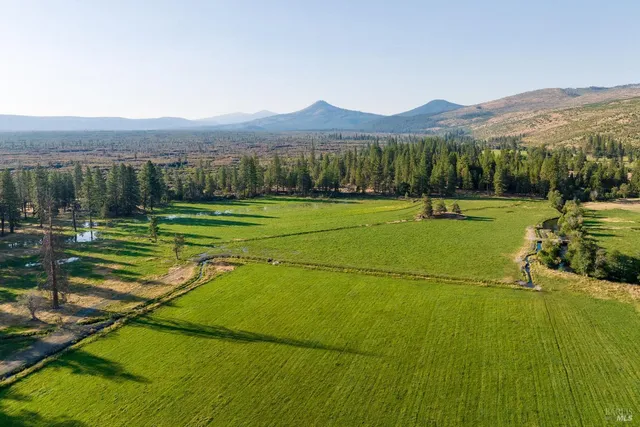 a view of a field with a big yard