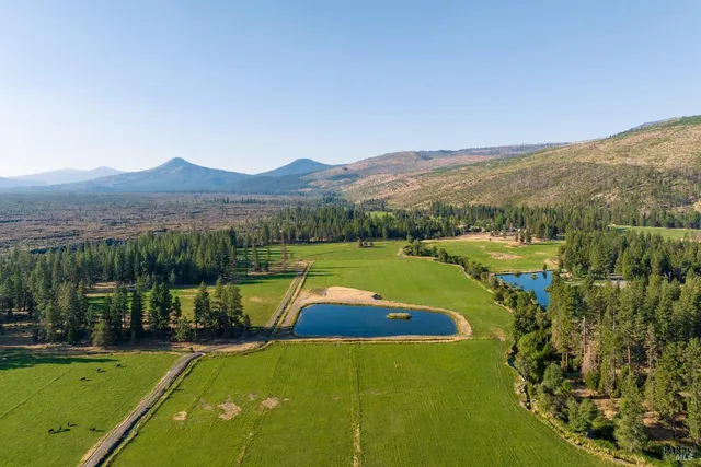 a view of a city with an ocean