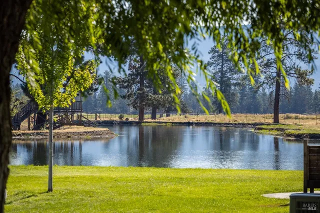 a view of a swimming pool with an outdoor space