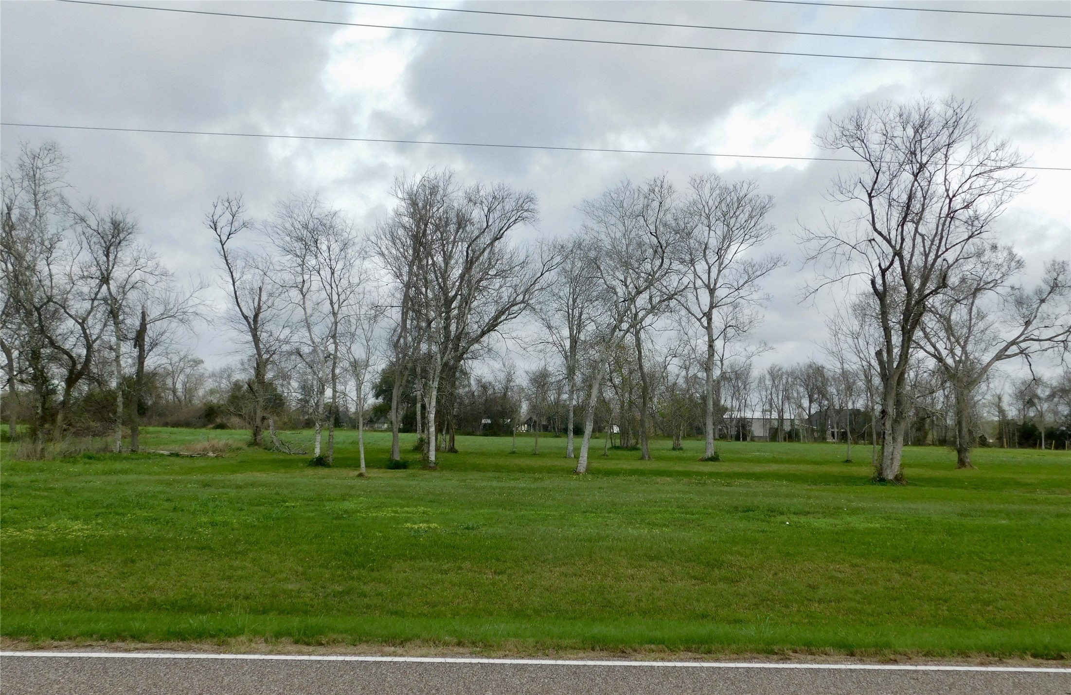 810 Chenango Ranch Drive Angleton, TX 77515 - Photo 6 of 10