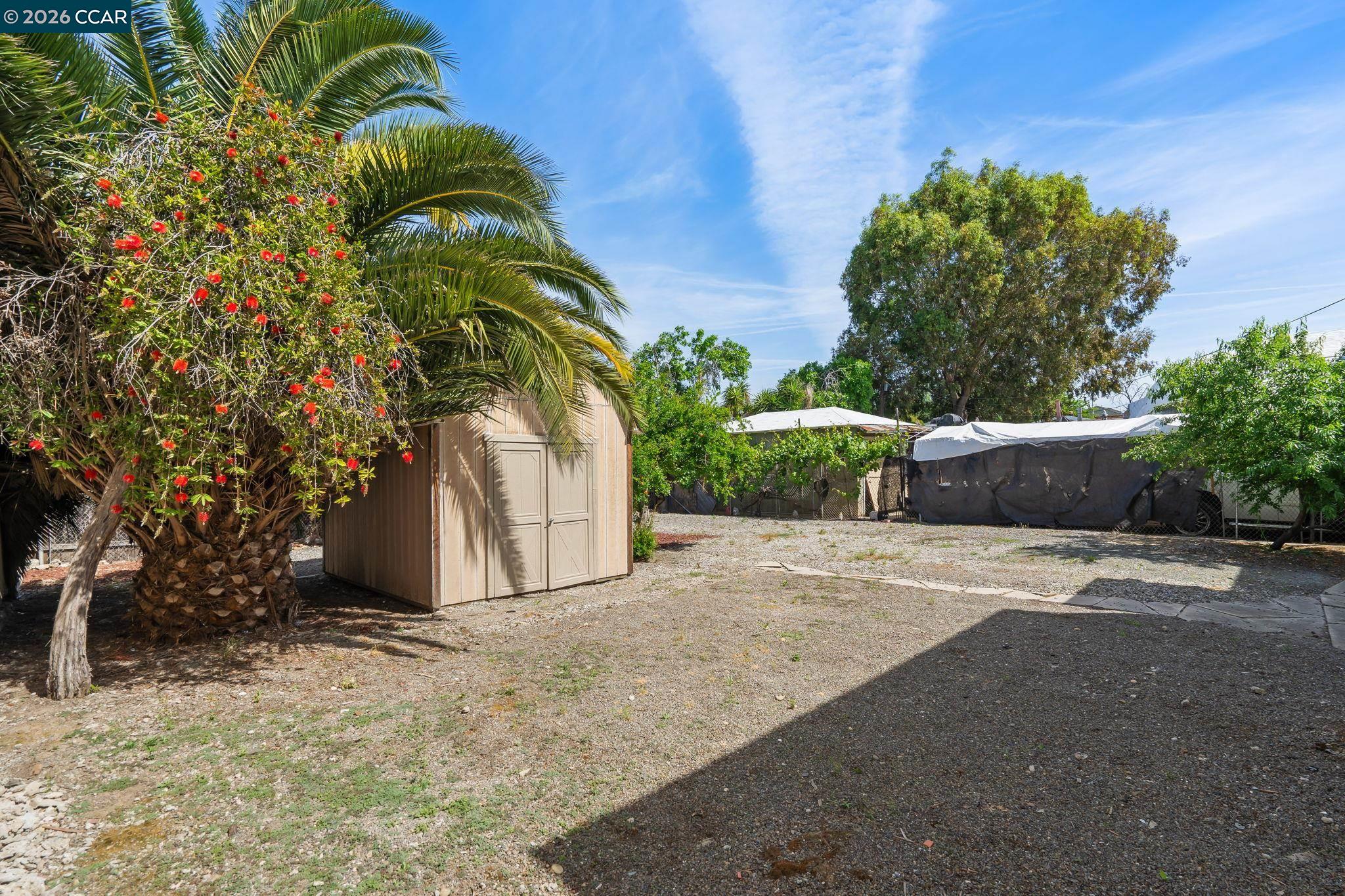 272 West 10th Street Pittsburg, CA 94565 - Photo 29 of 29 a picture of plants and trees