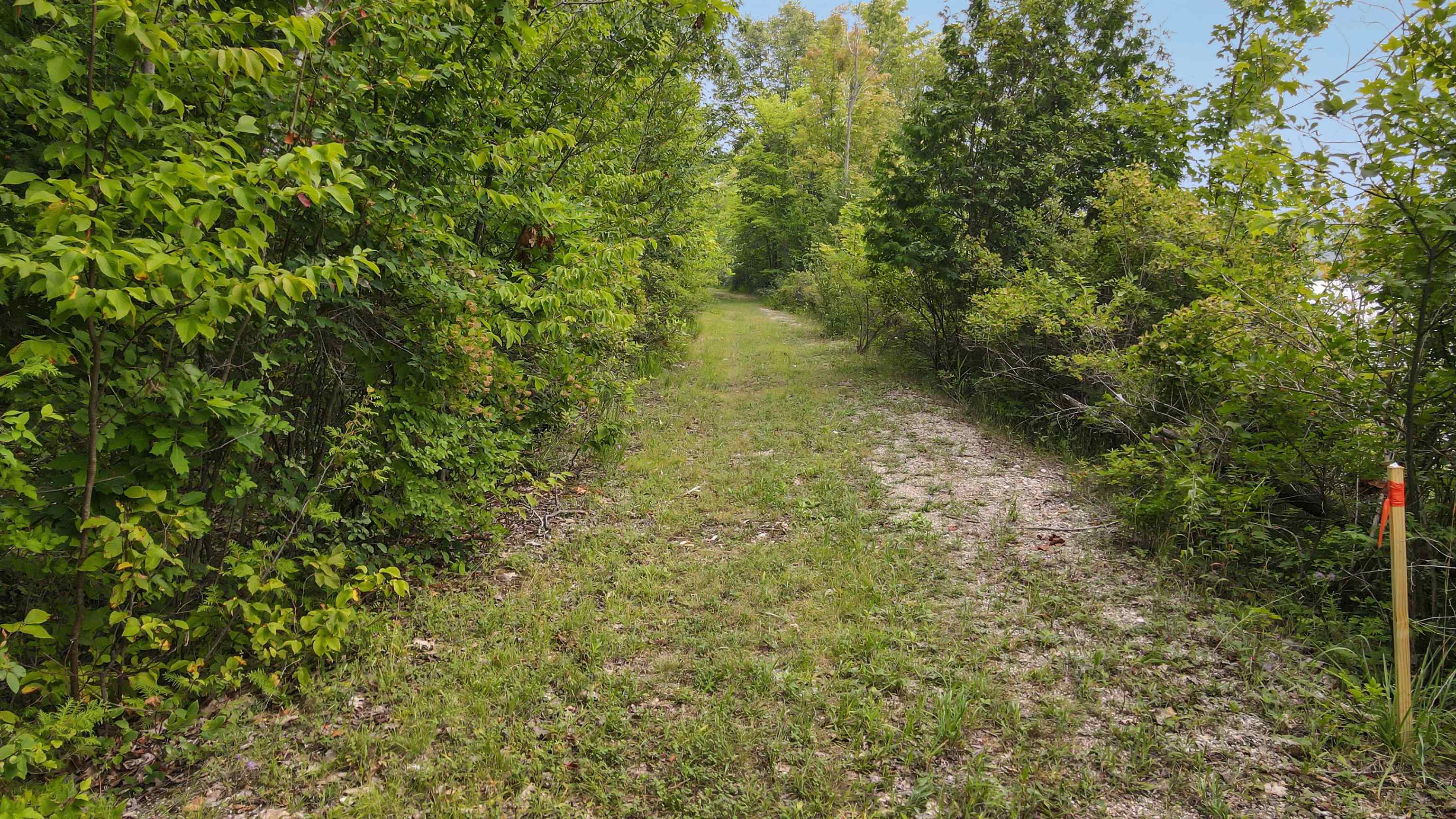0 Ellsworth Ellsworth, MI 49729 - Photo 7 of 21 1914012-6.JPG