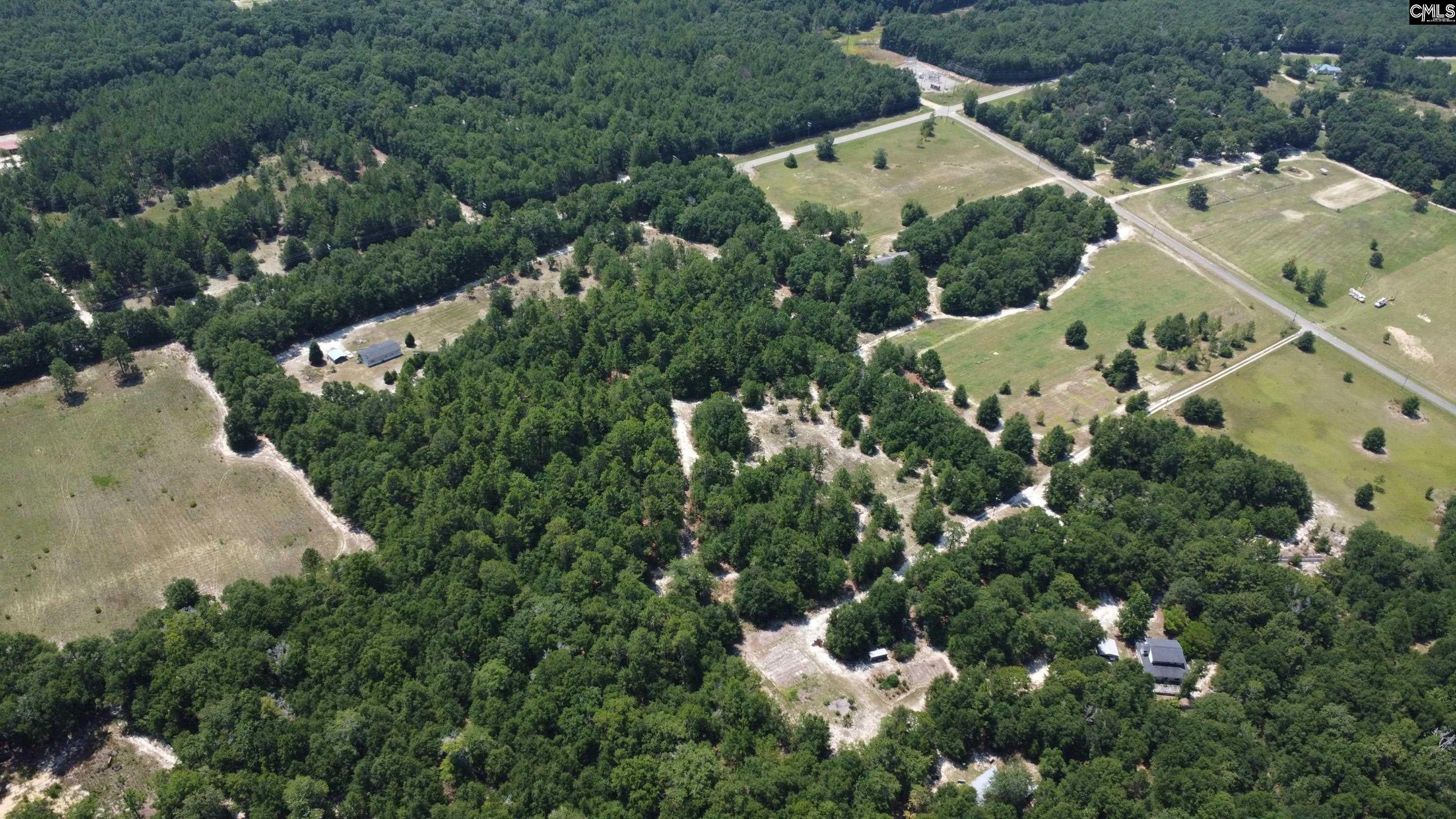 0 Poinsettia Road Wagener, SC 29164 - Photo 9 of 15 Gallery Image 9