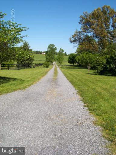 372 Old Baltimore Road Winchester, VA 22603 - Photo 12 of 30 Driveway
