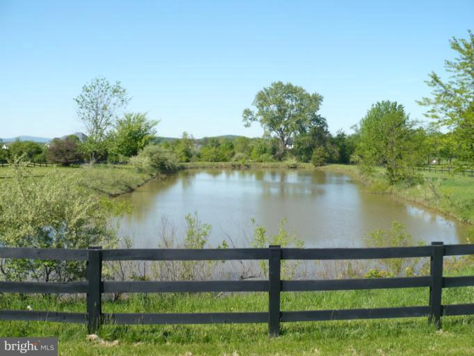 372 Old Baltimore Road Winchester, VA 22603 - Photo 13 of 30 Pond