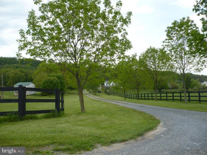 372 Old Baltimore Road Winchester, VA 22603 - Photo 16 of 30 Entrance Drive