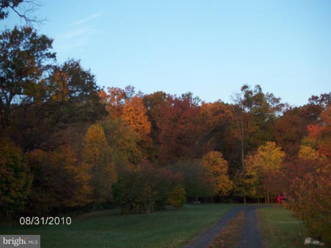 372 Old Baltimore Road Winchester, VA 22603 - Photo 17 of 30 Autumn View of Property