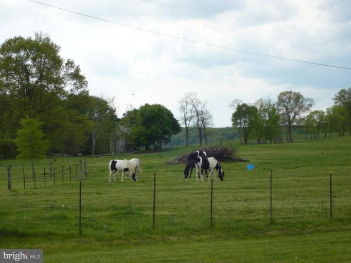 372 Old Baltimore Road Winchester, VA 22603 - Photo 23 of 30 Pasture (Neighbors)