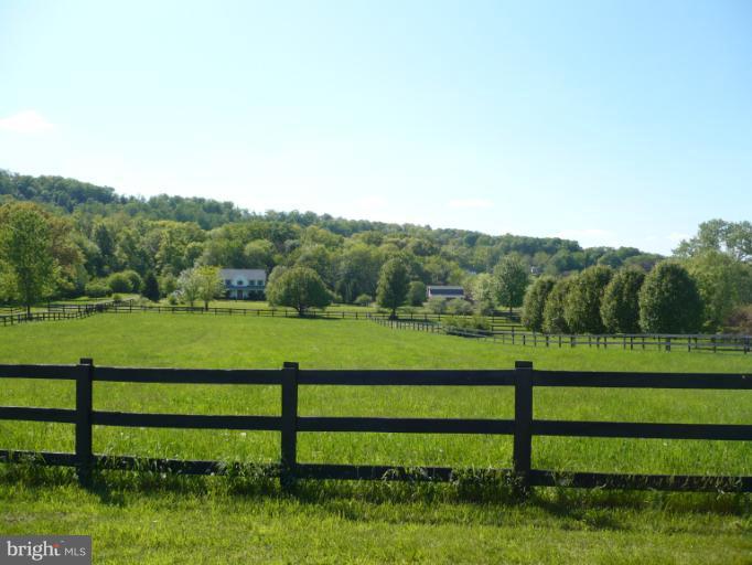 372 Old Baltimore Road Winchester, VA 22603 - Photo 26 of 30 Pasture