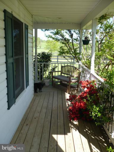 Side Entrance