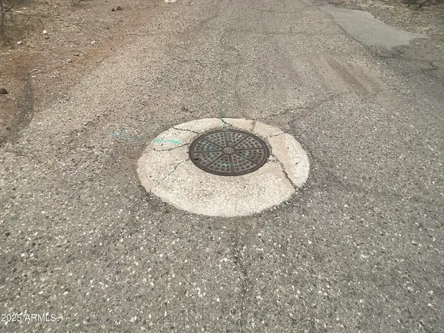 a view of a tree in a yard