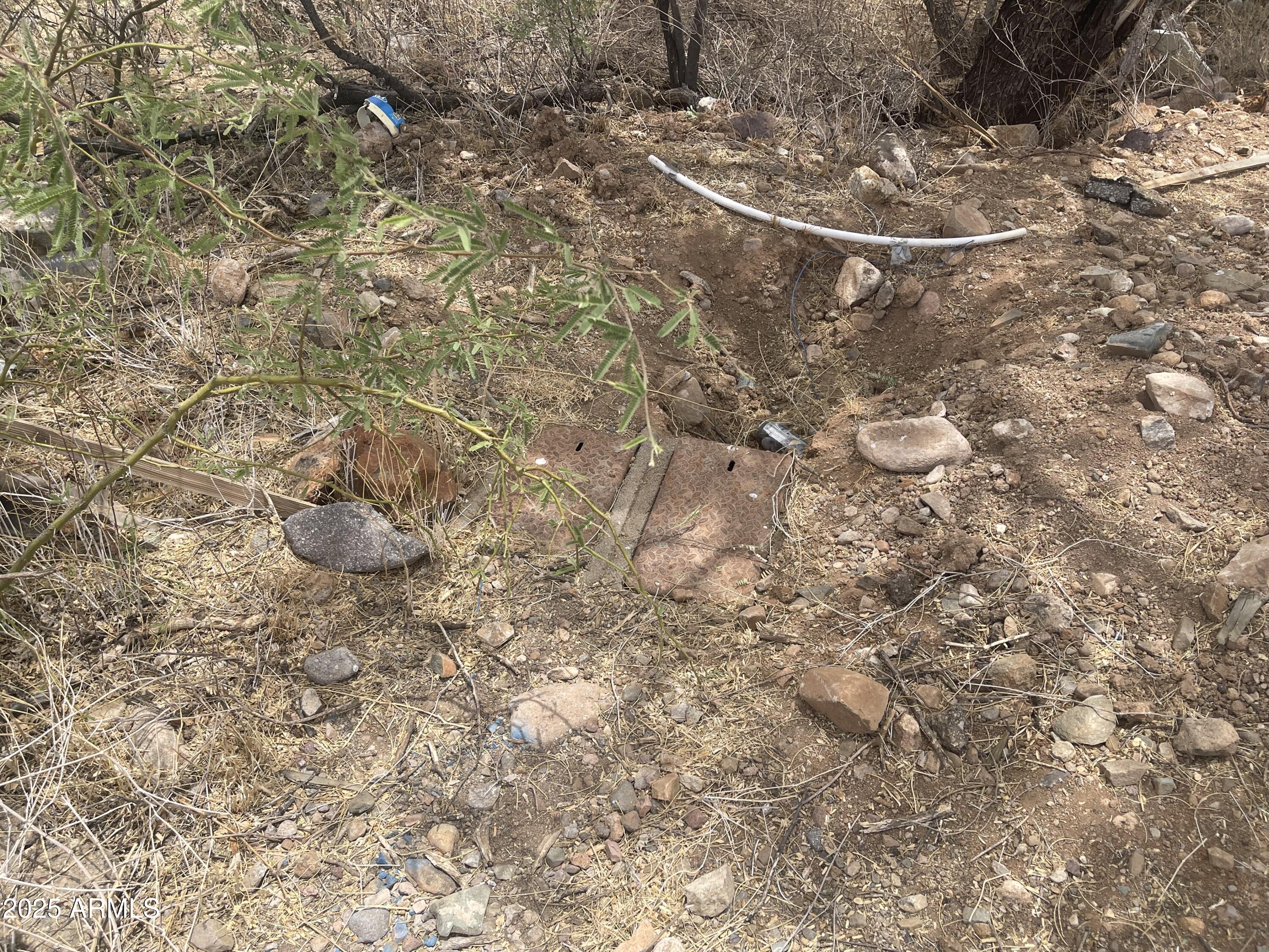 1858 Circulo Glorieta, Unit 309 Rio Rico, AZ 85648 - Photo 7 of 7 a view of a tree in a yard