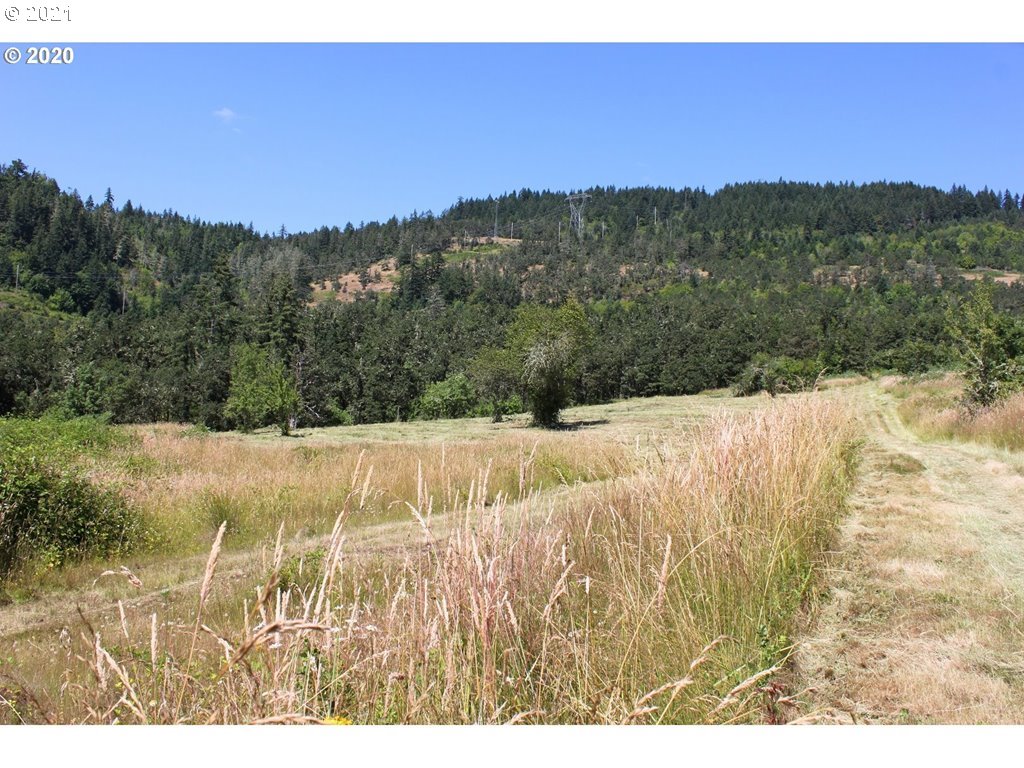 Infinty Lane, Unit 302 Springfield, OR 97478 - Photo 2 of 13 Gallery Image 2