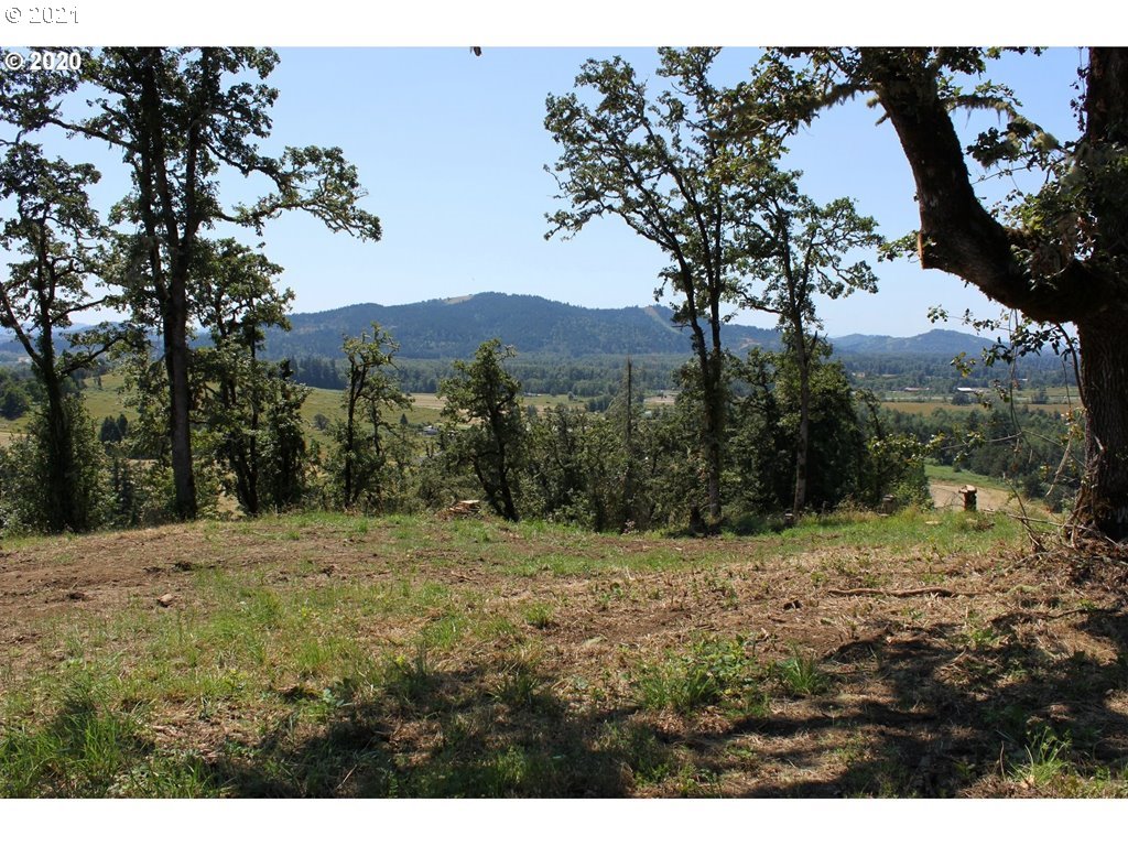 Infinty Lane, Unit 302 Springfield, OR 97478 - Photo 11 of 13 Gallery Image 11