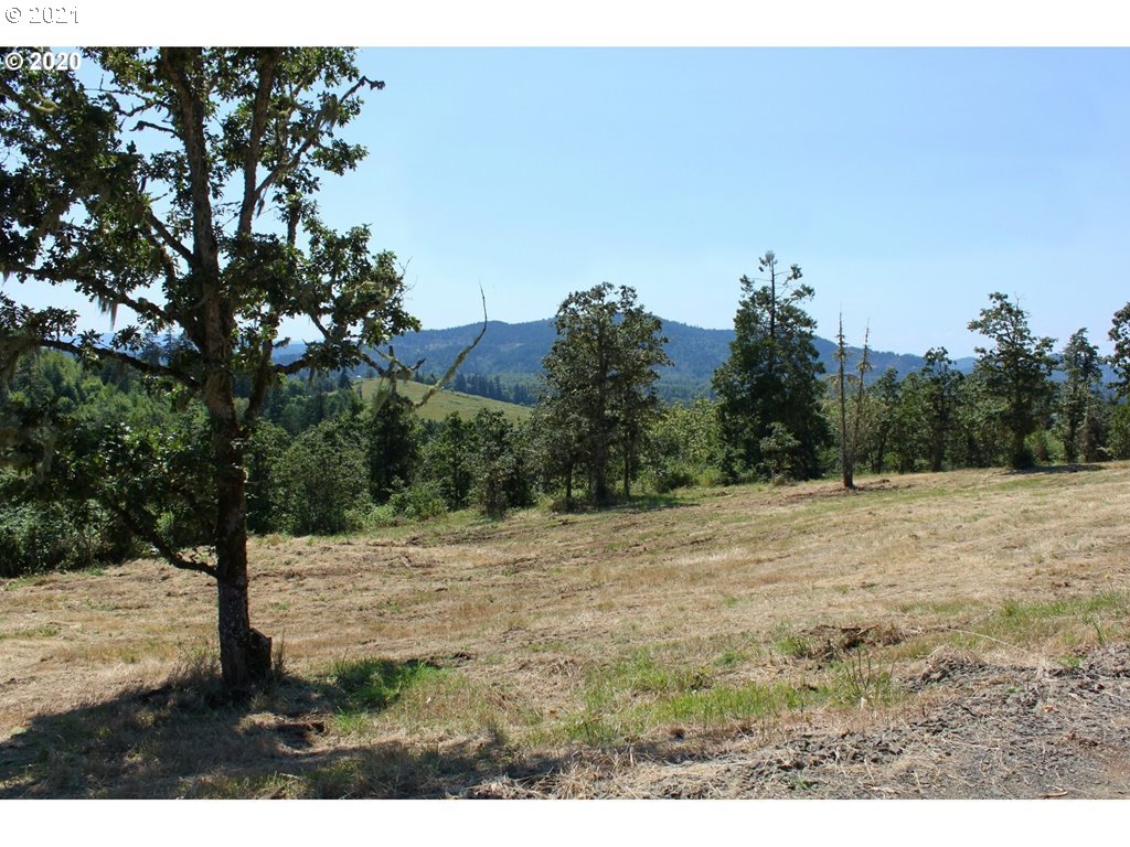 Infinty Lane, Unit 302 Springfield, OR 97478 - Photo 12 of 13 Gallery Image 12