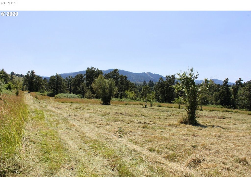 Infinty Lane, Unit 302 Springfield, OR 97478 - Photo 13 of 13 Gallery Image 13