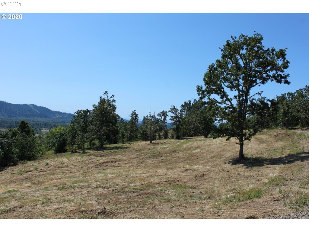 Infinty Lane, Unit 302 Springfield, OR 97478 - Photo 7 of 13 Gallery Image 7
