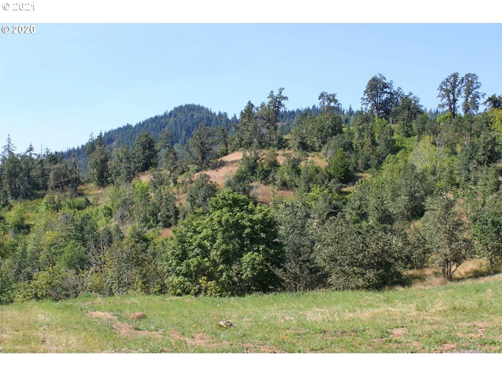 Infinty Lane, Unit 302 Springfield, OR 97478 - Photo 9 of 13 Gallery Image 9