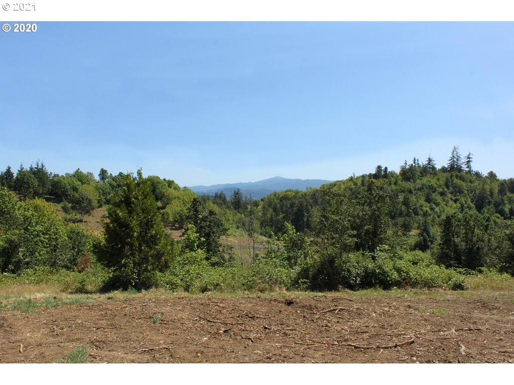 Infinty Lane, Unit 302 Springfield, OR 97478 - Photo 10 of 13 Gallery Image 10