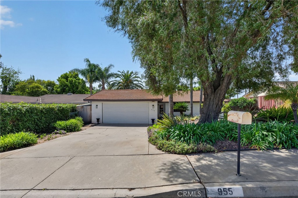 955 La Rue Avenue Fallbrook, CA 92028 - Photo 3 of 54