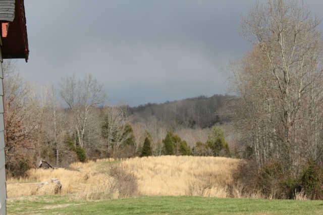 7055 Primm Springs Road Lyles, TN 37098 - Photo 3 of 20 This is the fantastic view out back!