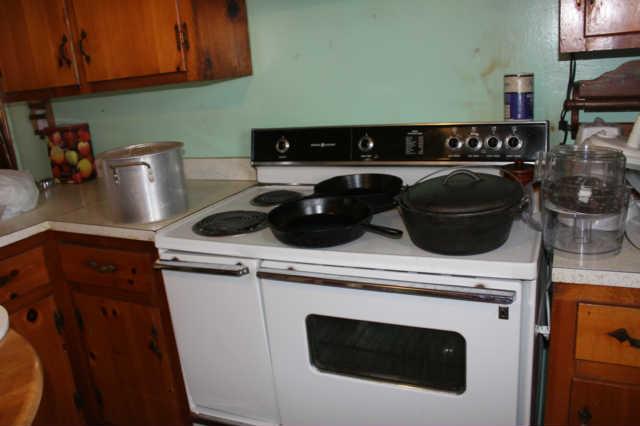 7055 Primm Springs Road Lyles, TN 37098 - Photo 8 of 20 Stove remains.