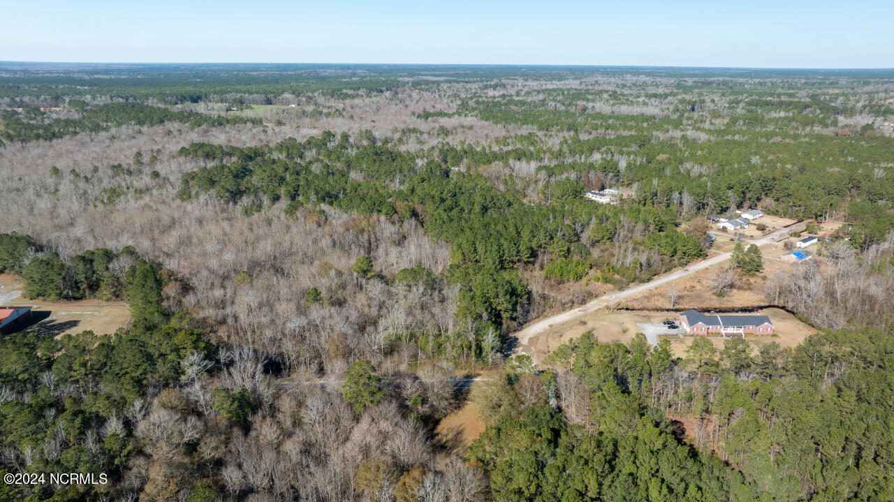 91 Rockfish Lake Road Maple Hill, NC 28454 - Photo 18 of 69 18