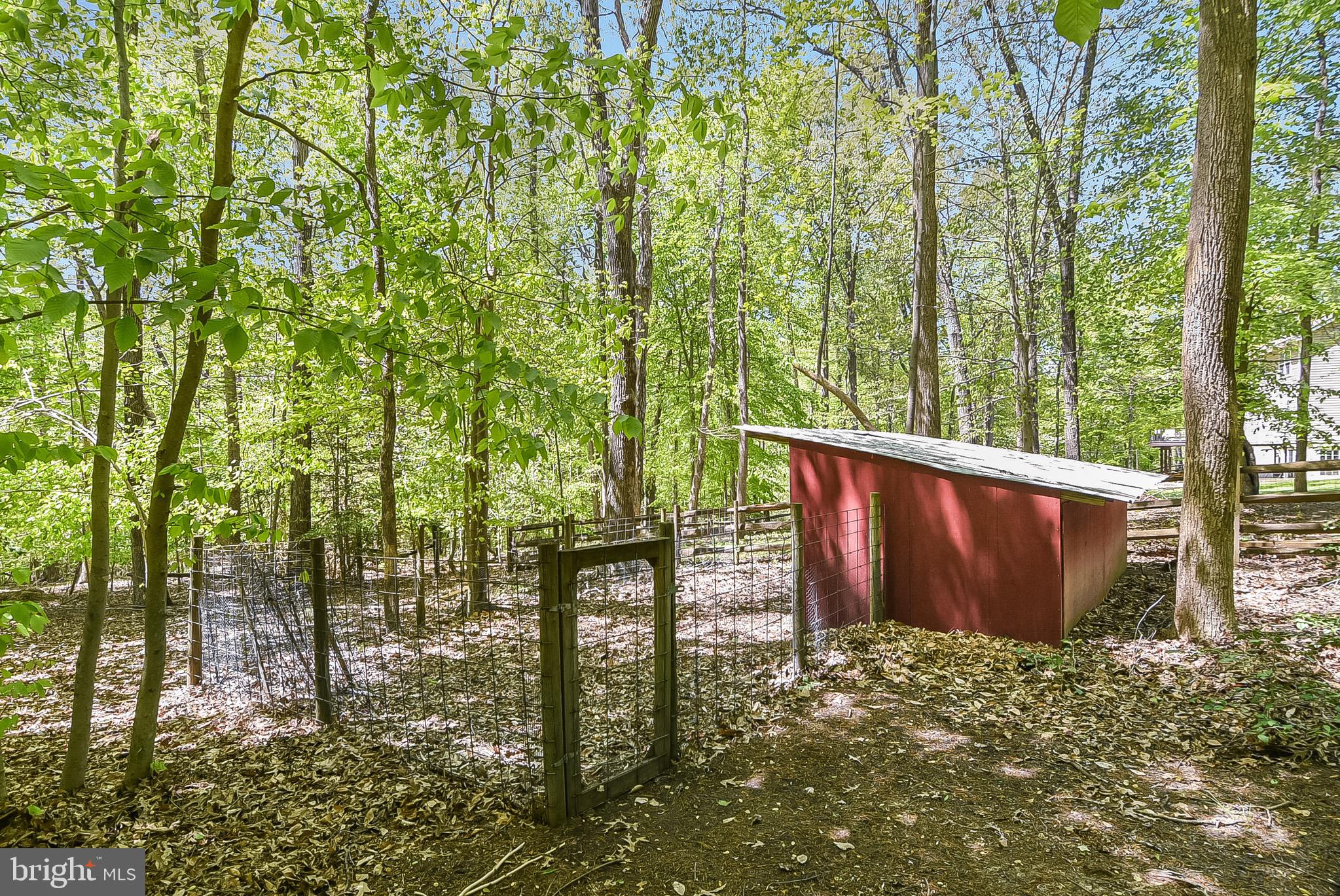 6264 St Pauls Road King George, VA 22485 - Photo 51 of 52 Goat Barn/ Chicken Coop