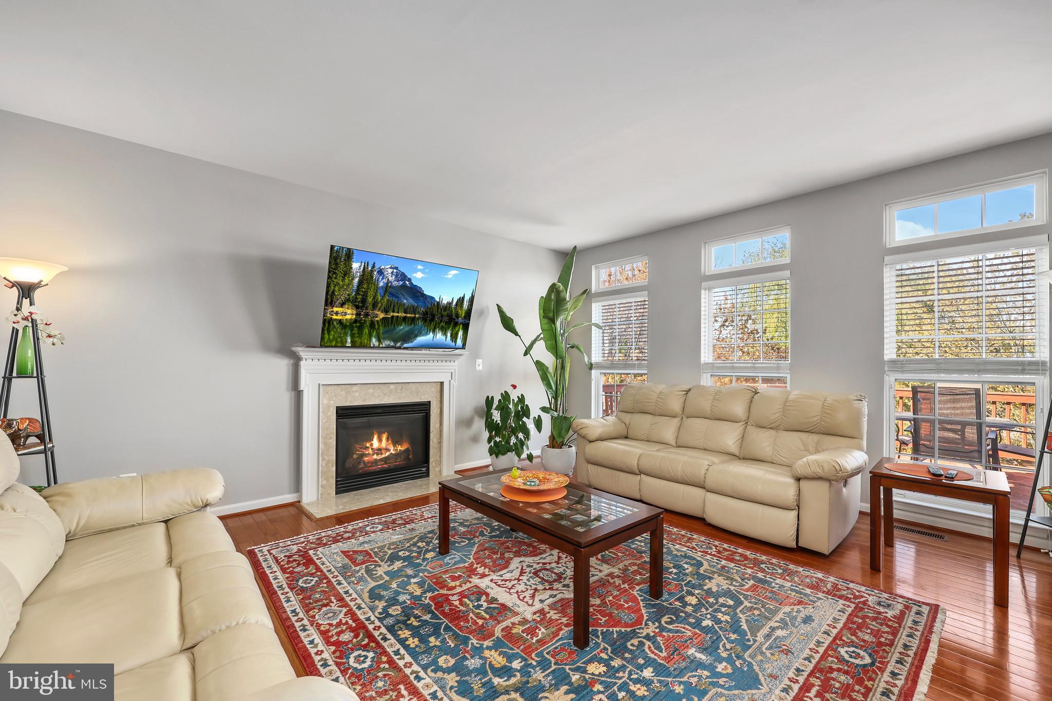 41742 Experience Way Aldie, VA 20105 - Photo 19 of 78 a living room with furniture a rug a fireplace and windows