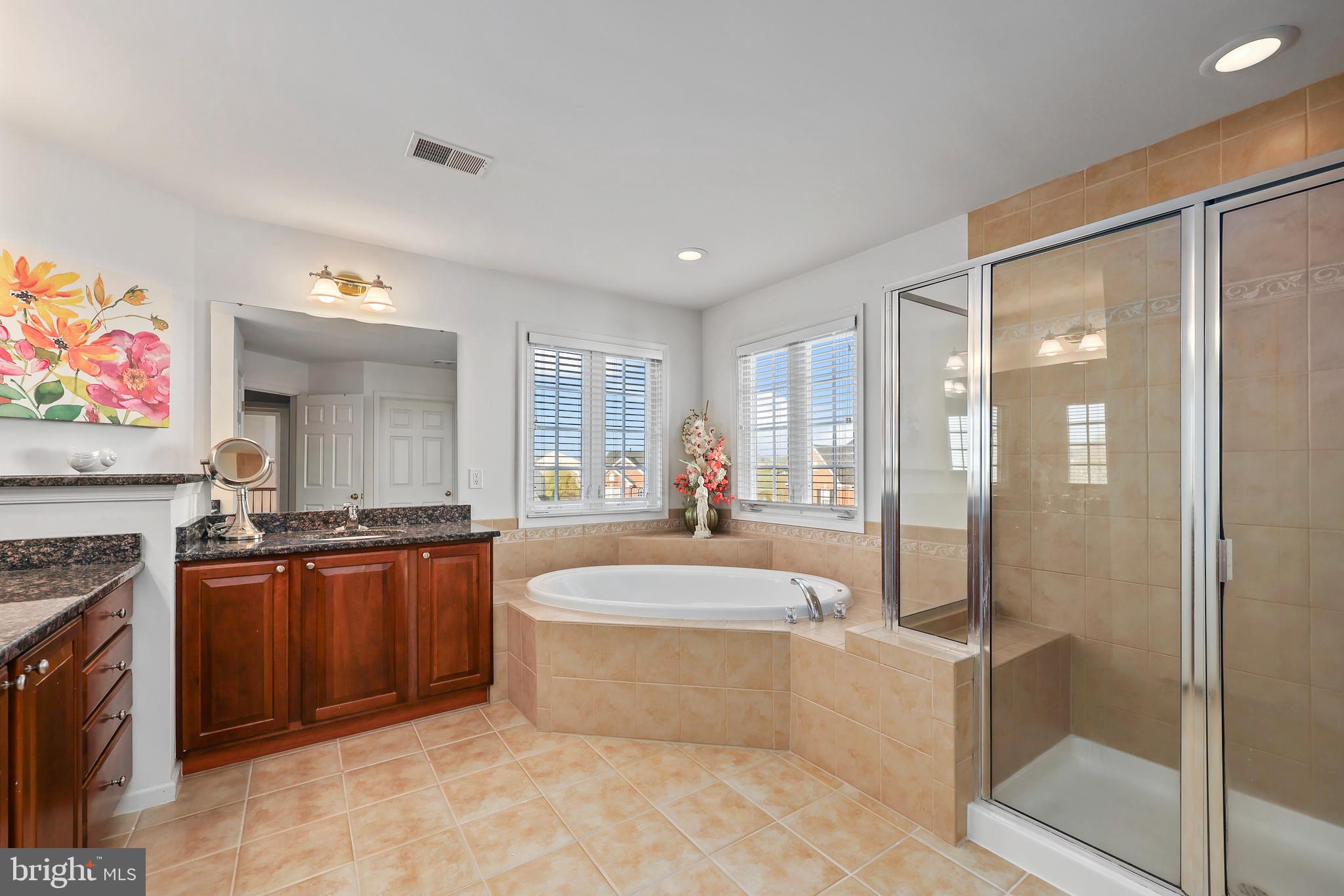 41742 Experience Way Aldie, VA 20105 - Photo 37 of 78 a large spacious bathroom with a tub sink shower and mirror