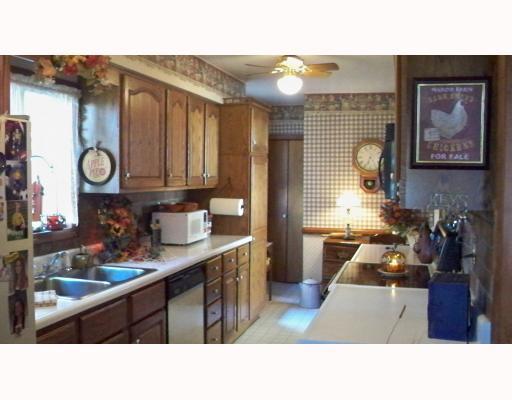 485 Virginia Rochester, PA 15074 - Photo 4 of 10 Kitchen.