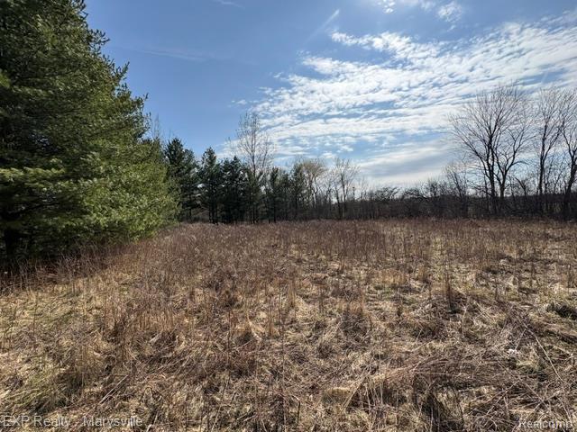 6919 Emmett Road Yale, MI 48097 - Photo 11 of 15