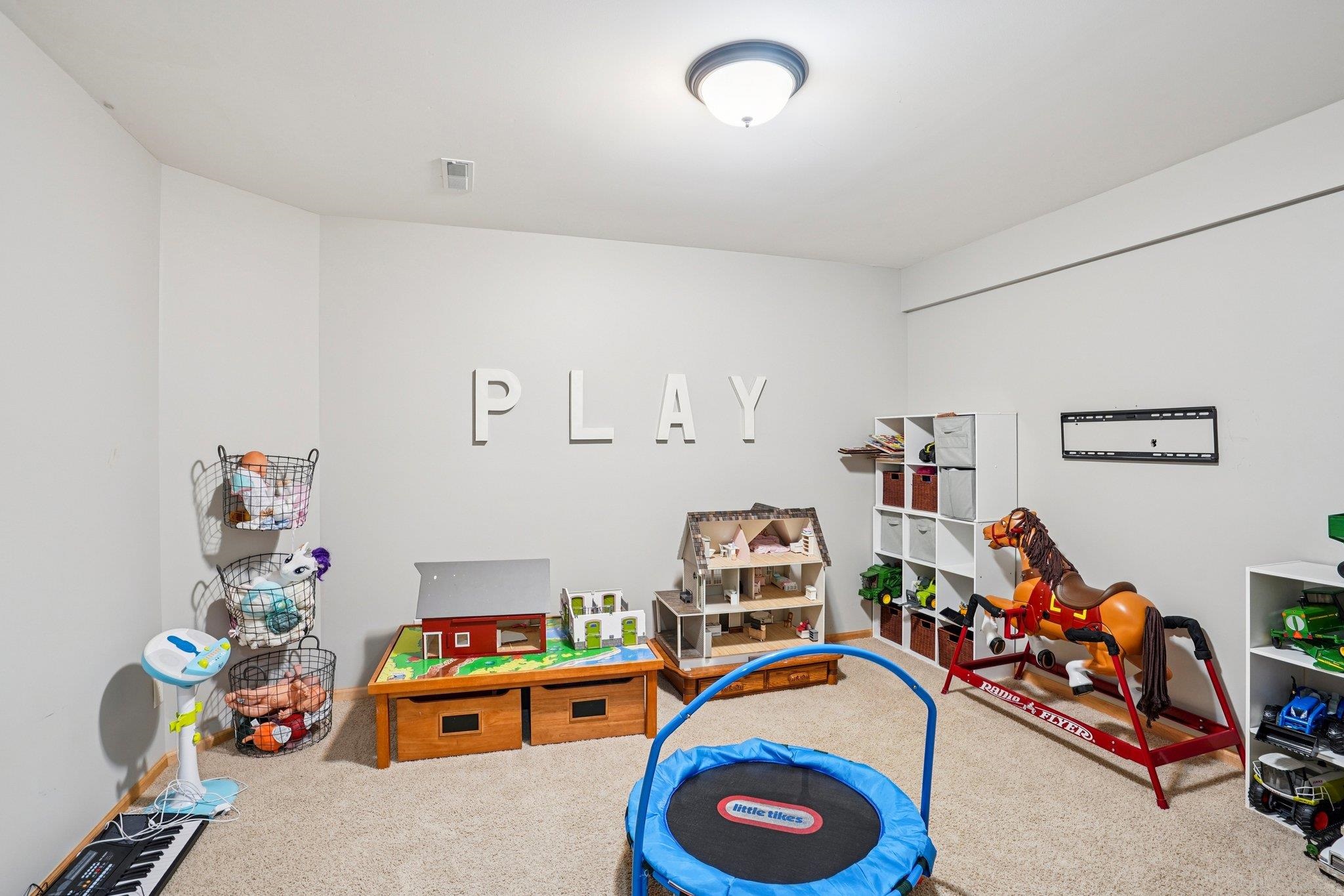 217 Sunset Drive Dane, WI 53529 - Photo 47 of 89